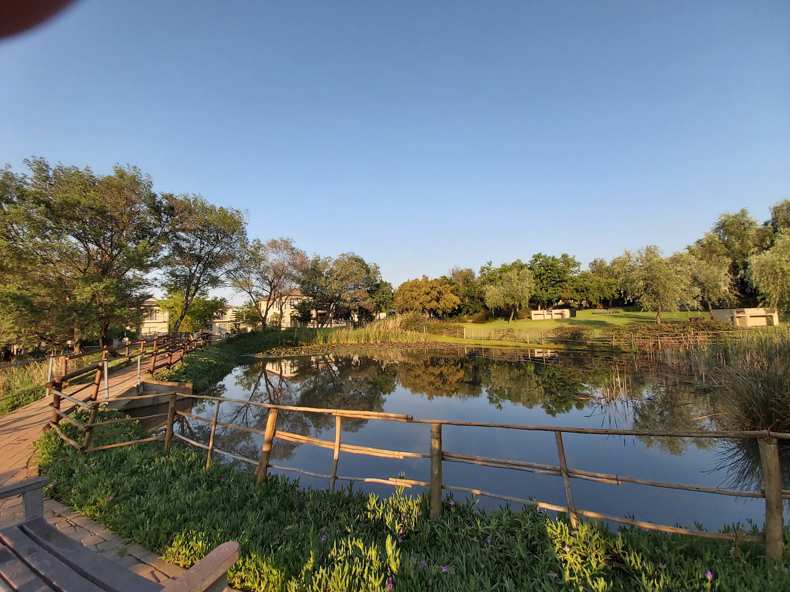 Picnic Park