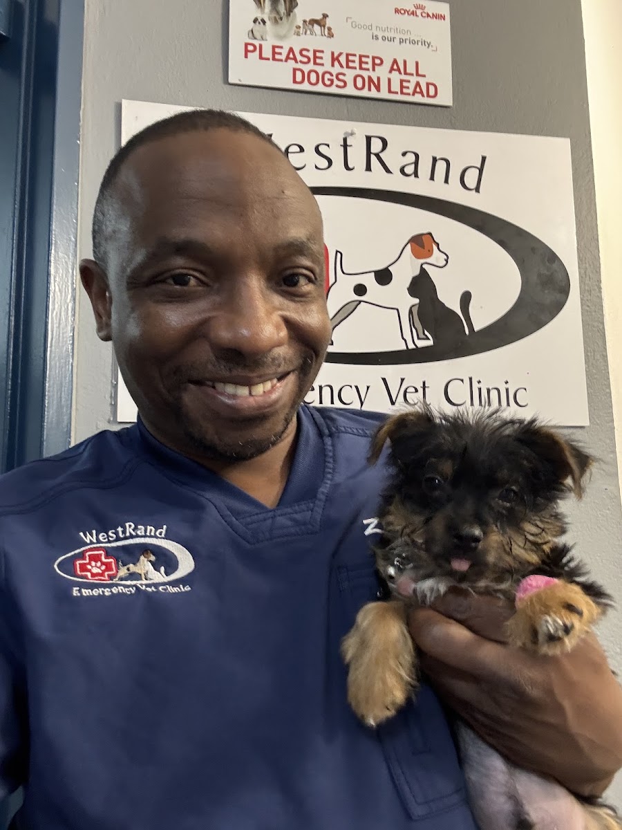 Westrand Emergency Vet Clinic
