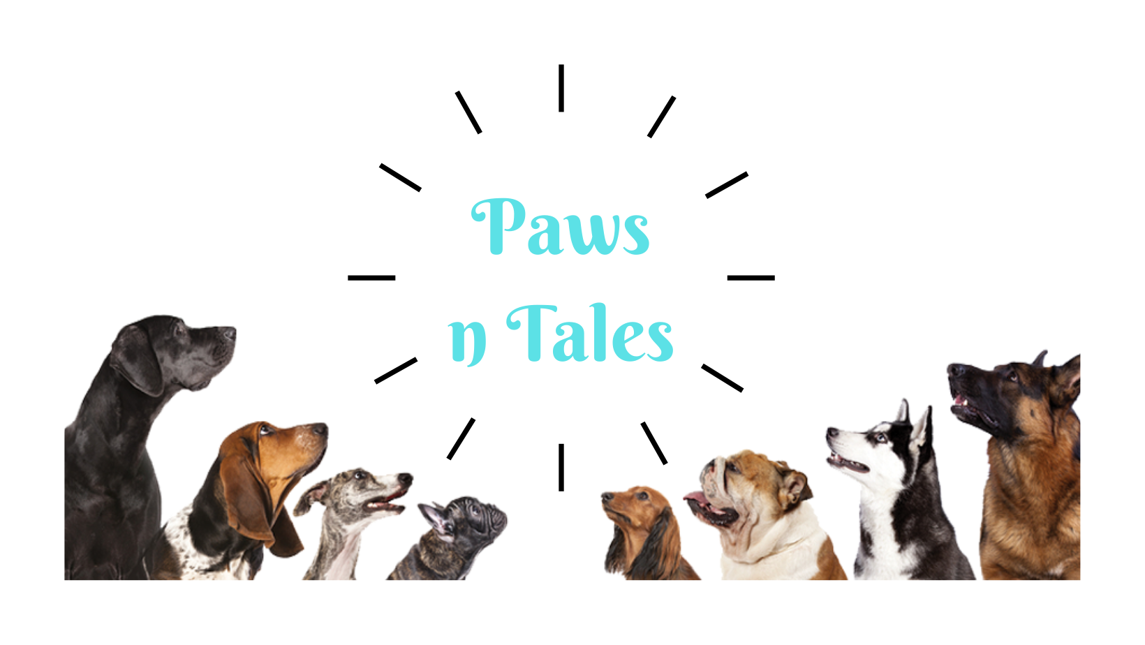 Paws n Tales dog behavior and training