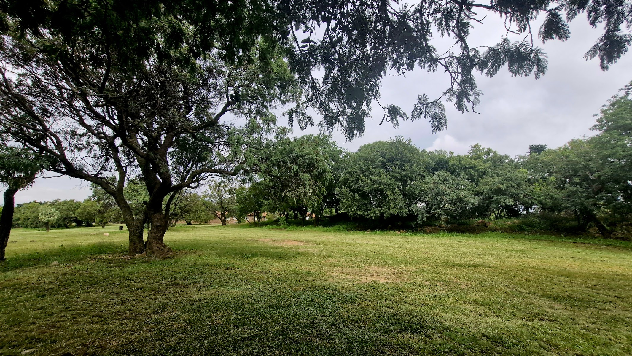 Loerie Dog Park