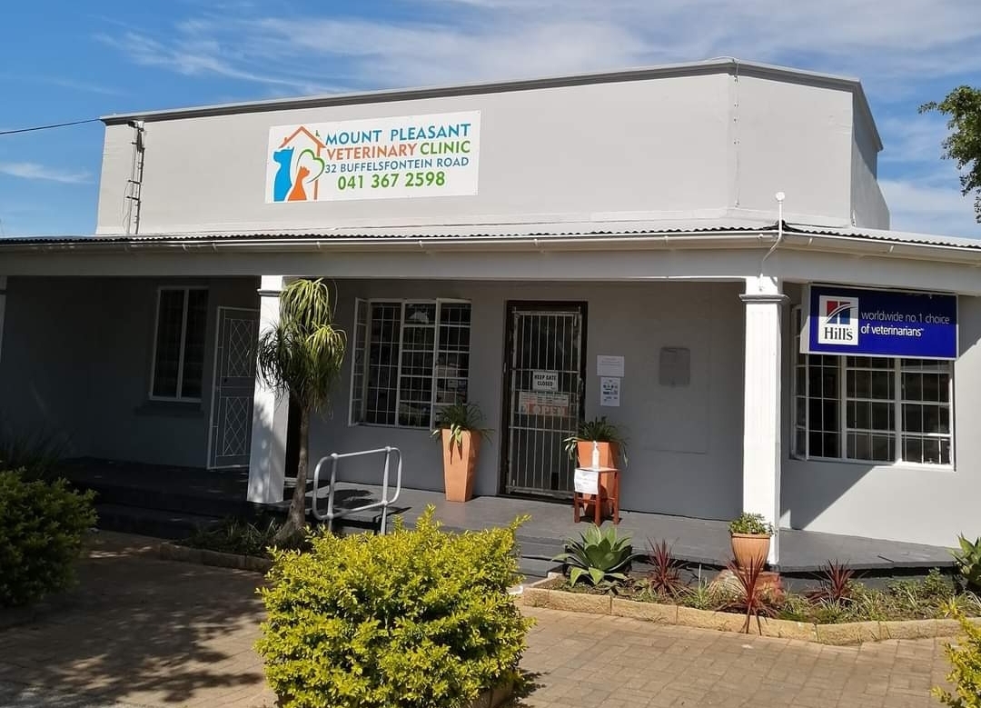 Mount Pleasant Veterinary Clinic