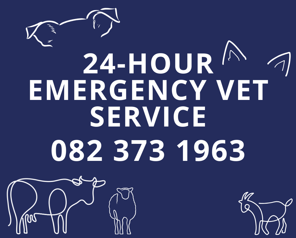 Veterinary House Townbush