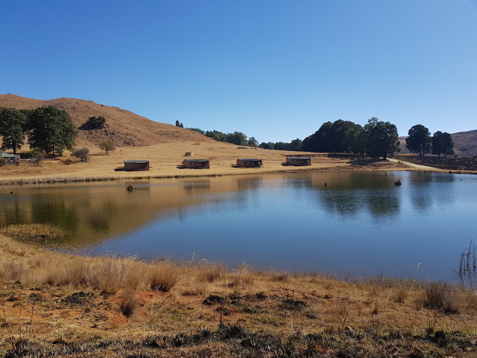 Lake Heron Game & Trout Farm