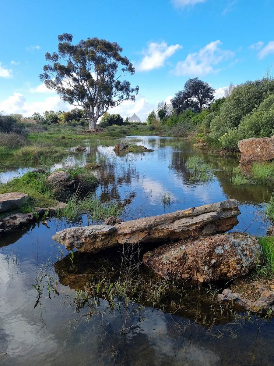 Botterblom Nature Reserve