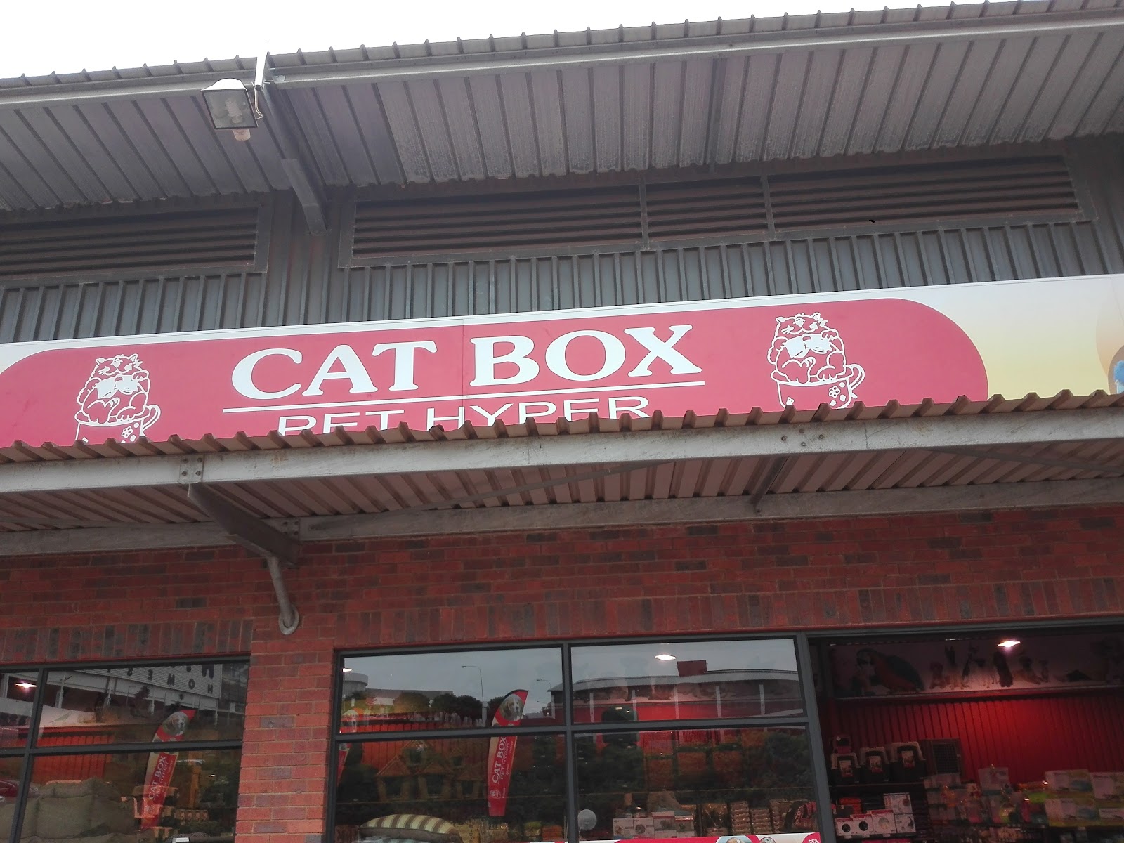 Cat Box Pet Hyper - Ballito