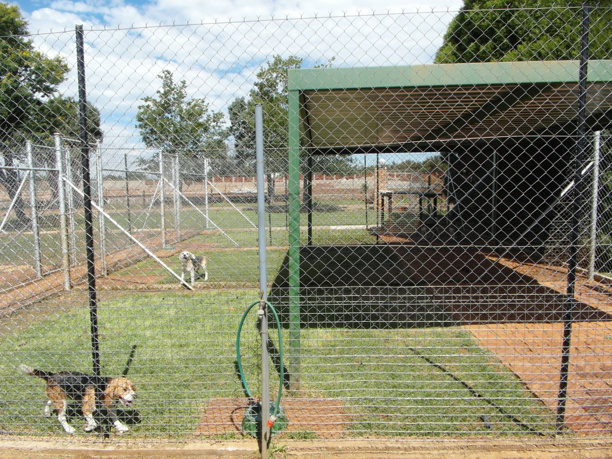 Xantah Kennels & Cattery