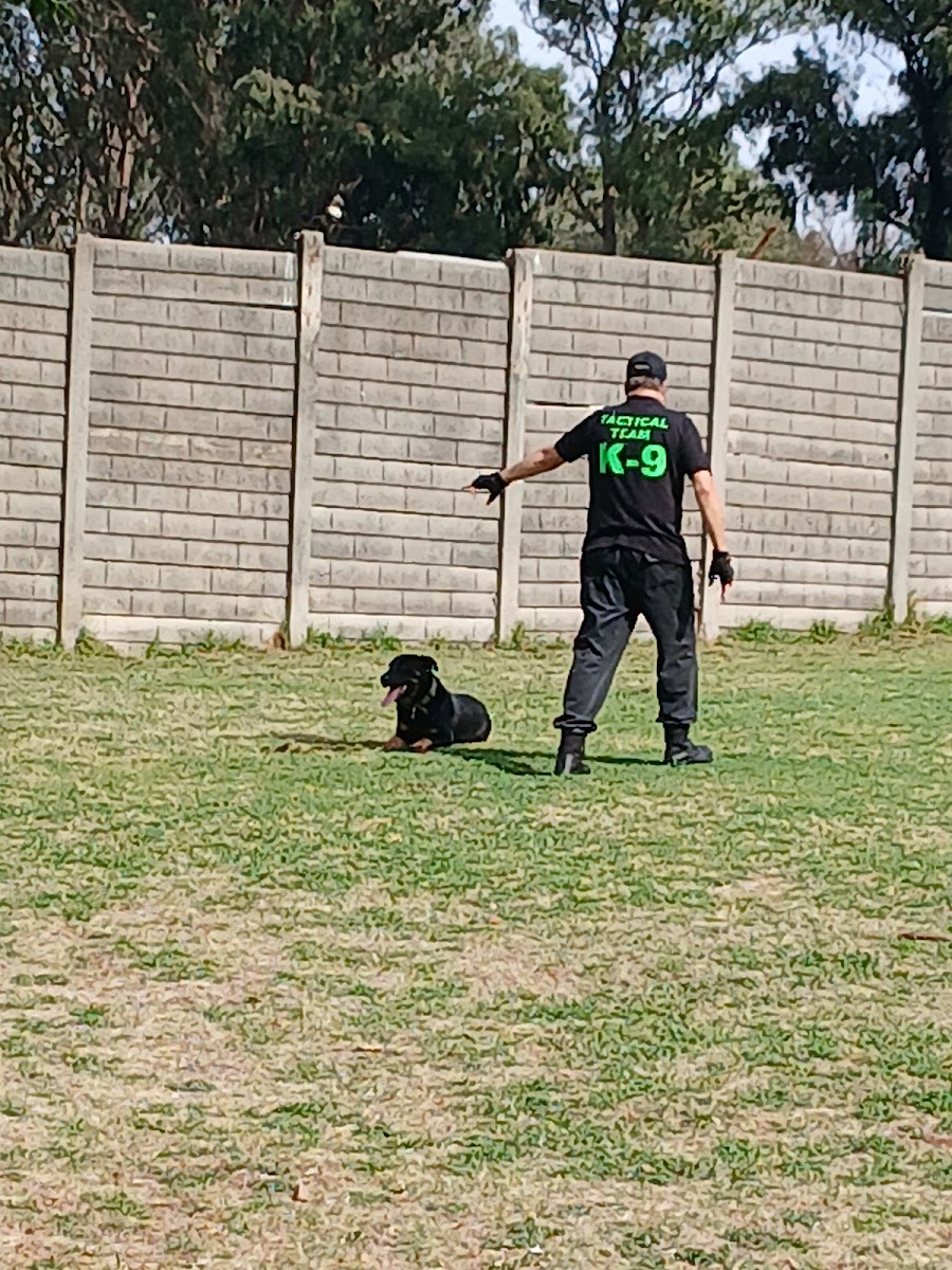 Comprehensive K9 Solutions Moderfontei