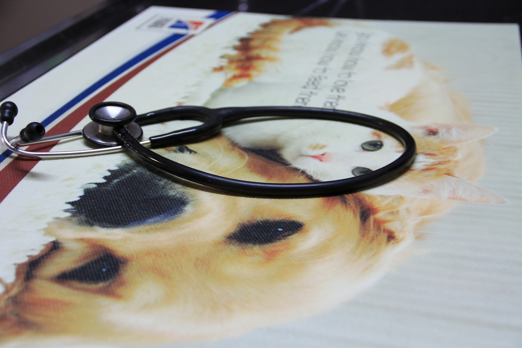 Langenhovenpark Animal Clinic