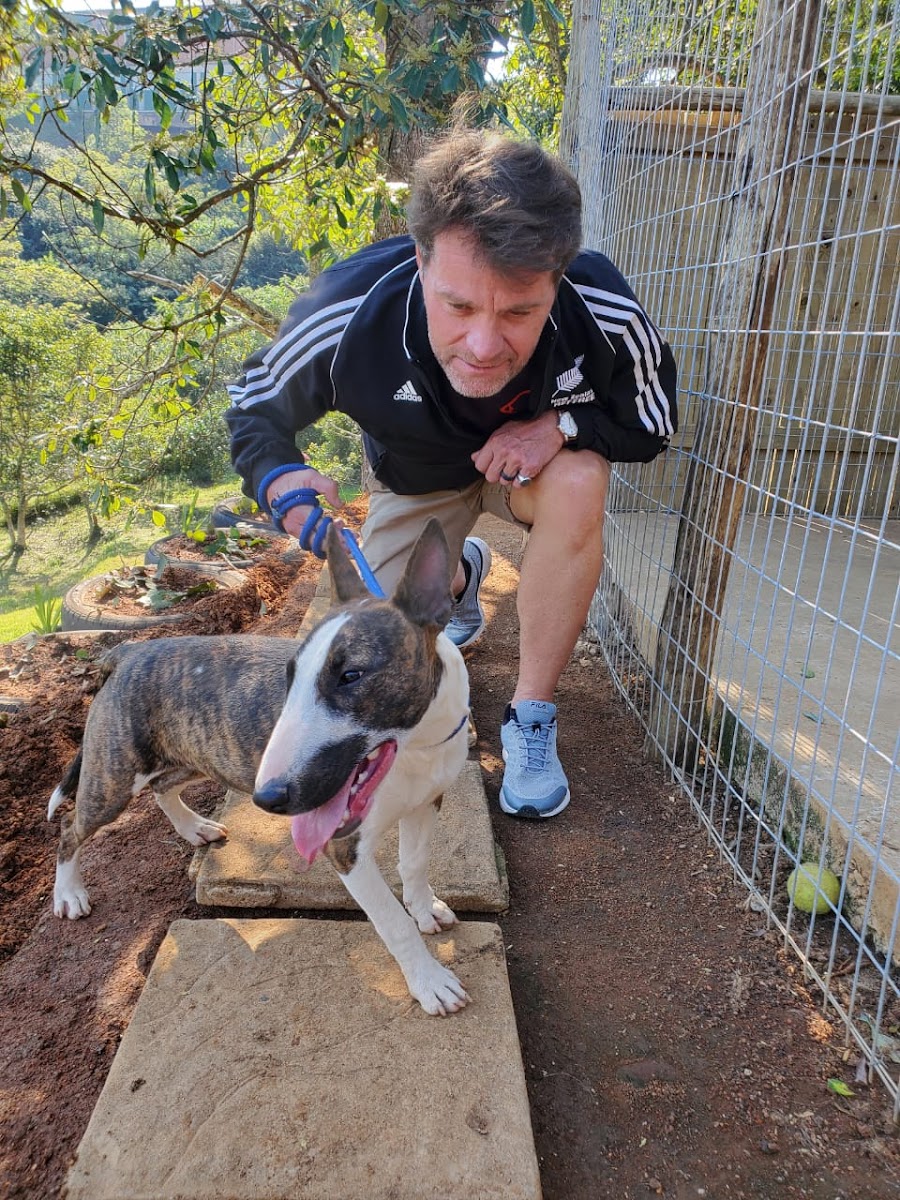 Paw Prints Rescue and Rehoming