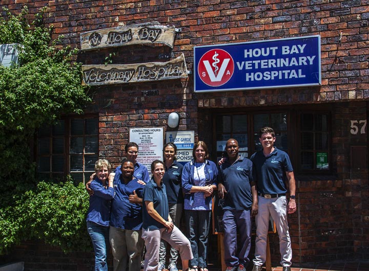 Hout Bay Veterinary Hospital