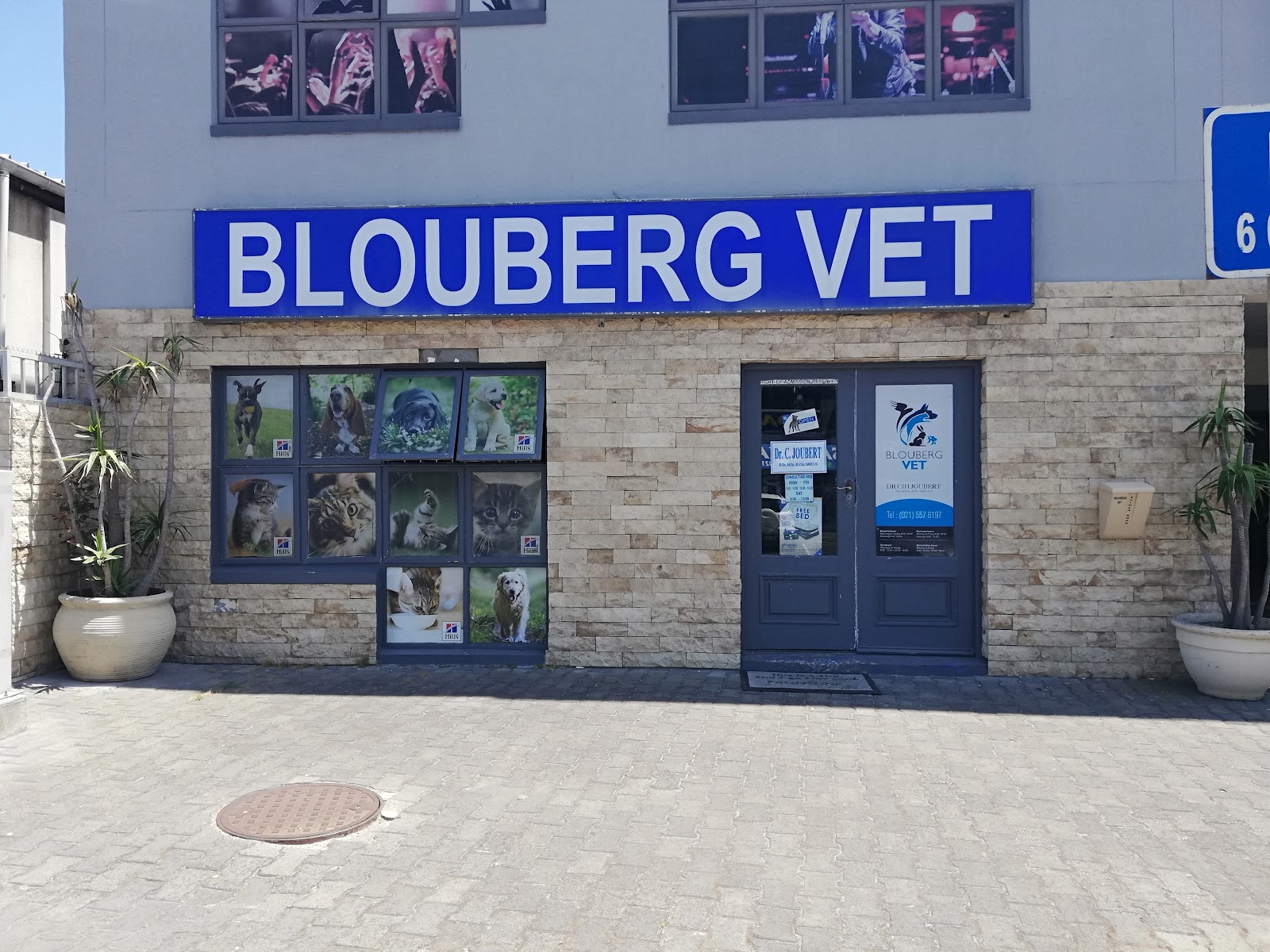 Blouberg Vet
