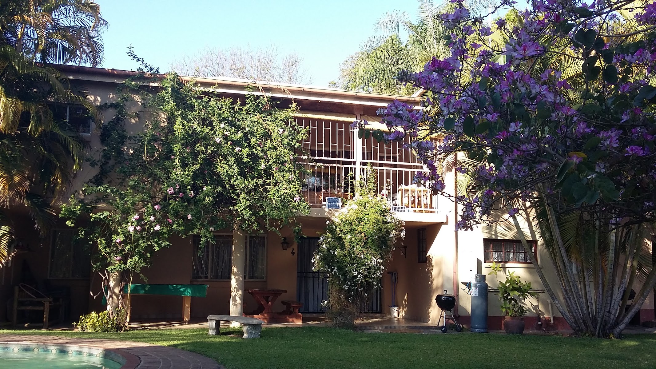 crocodile nest b&b