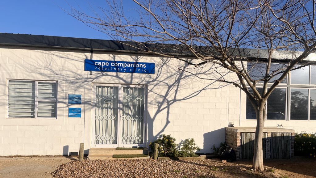 Cape Companions Veterinary Clinic