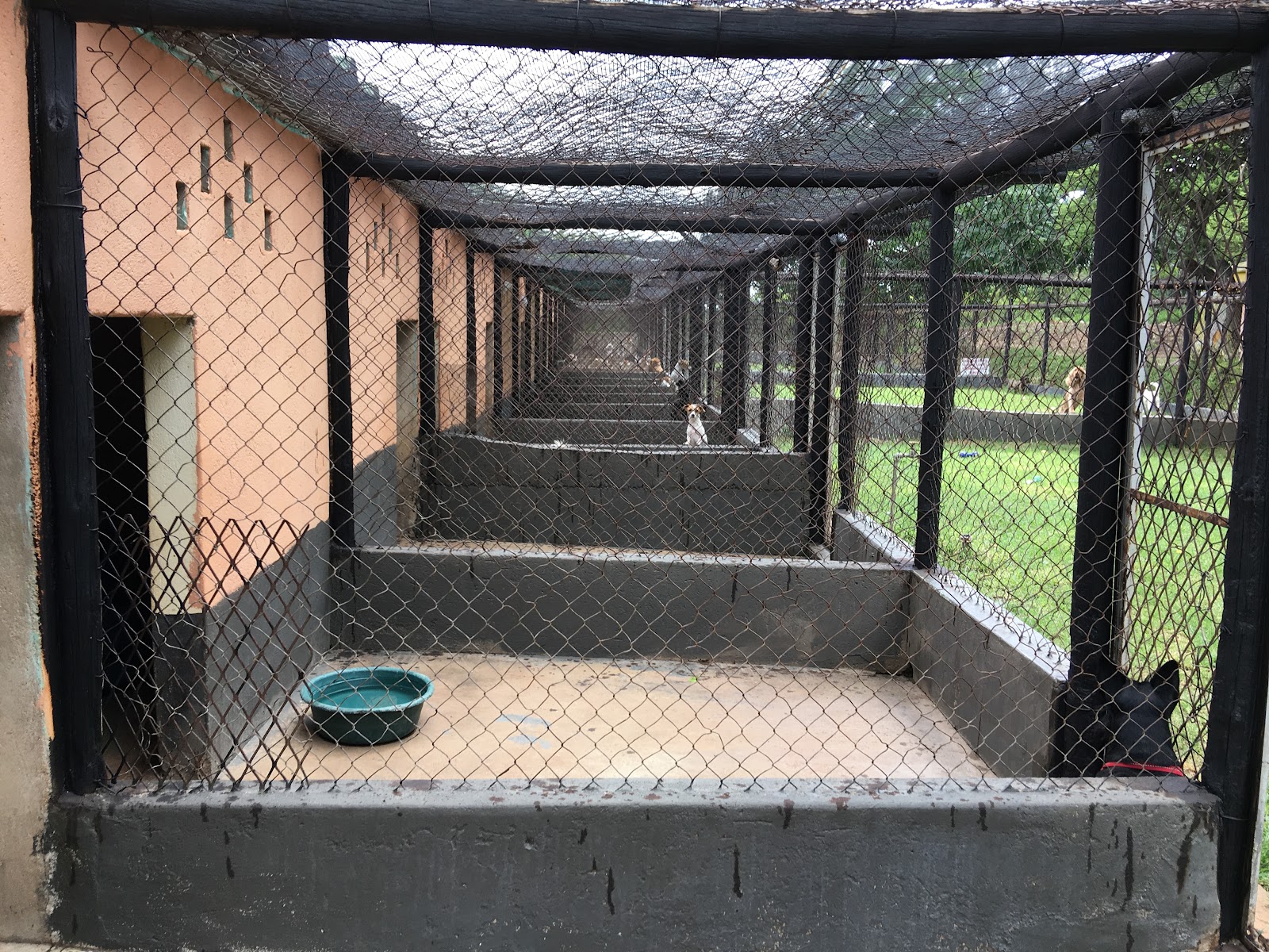 Elizabeth Kennels & Cattery Polokwane