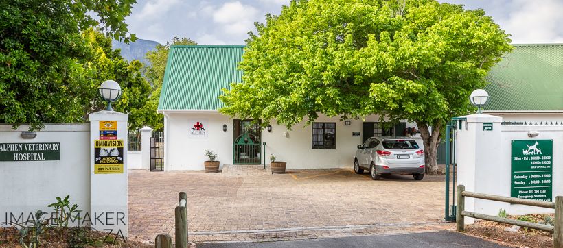 Alphen Veterinary Hospital