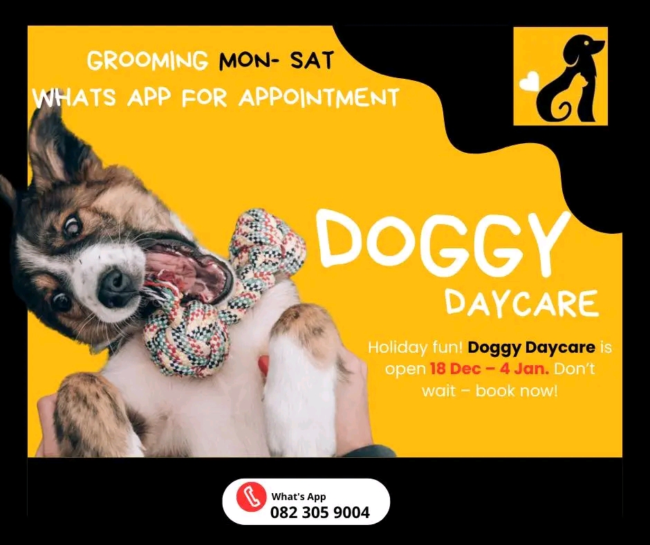 Pets Groom Room