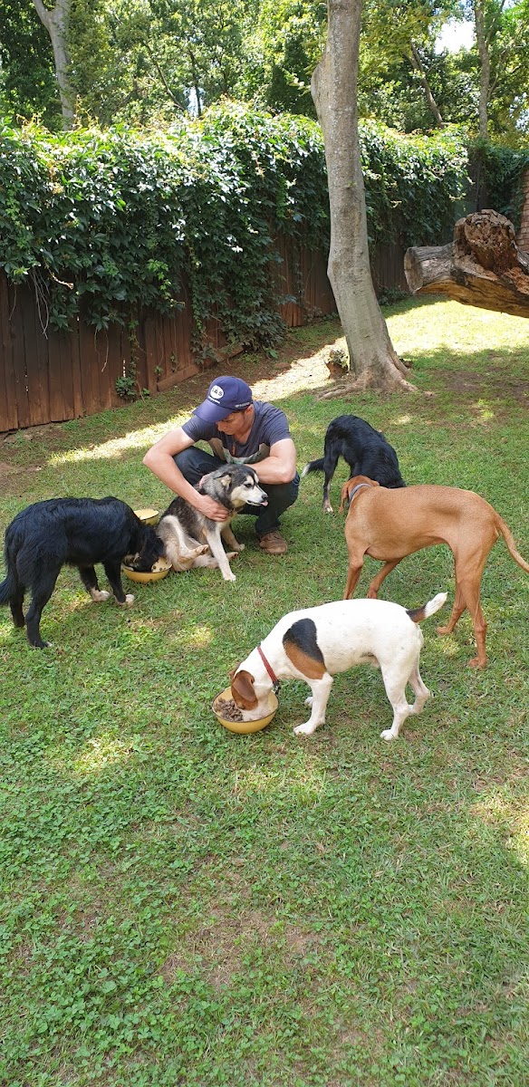 Berg en Dal Kennel