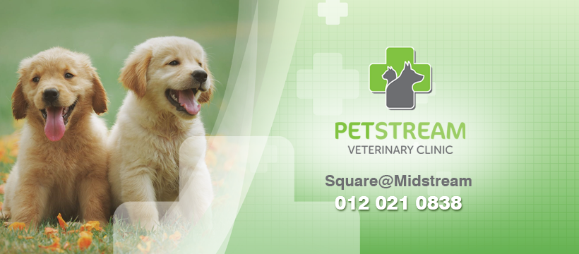 PetStream Veterinary Clinic