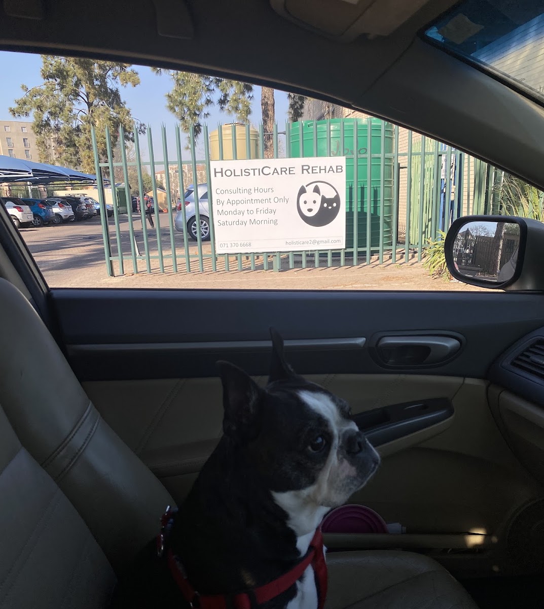 Holisticare Rehab, Veterinary Services & Hydrotheraphy