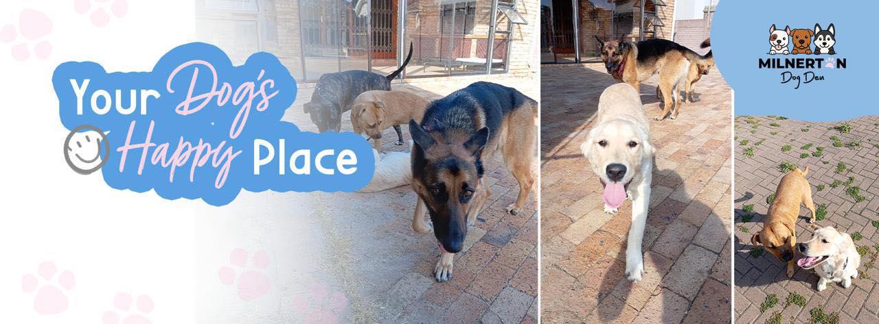 Milnerton Dog Den — photo 2