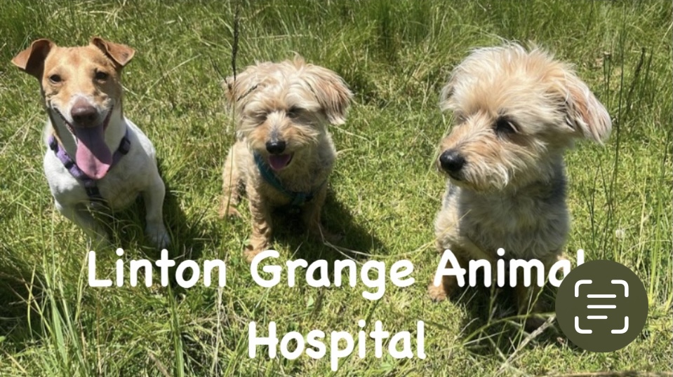 Linton Grange Animal Hospital