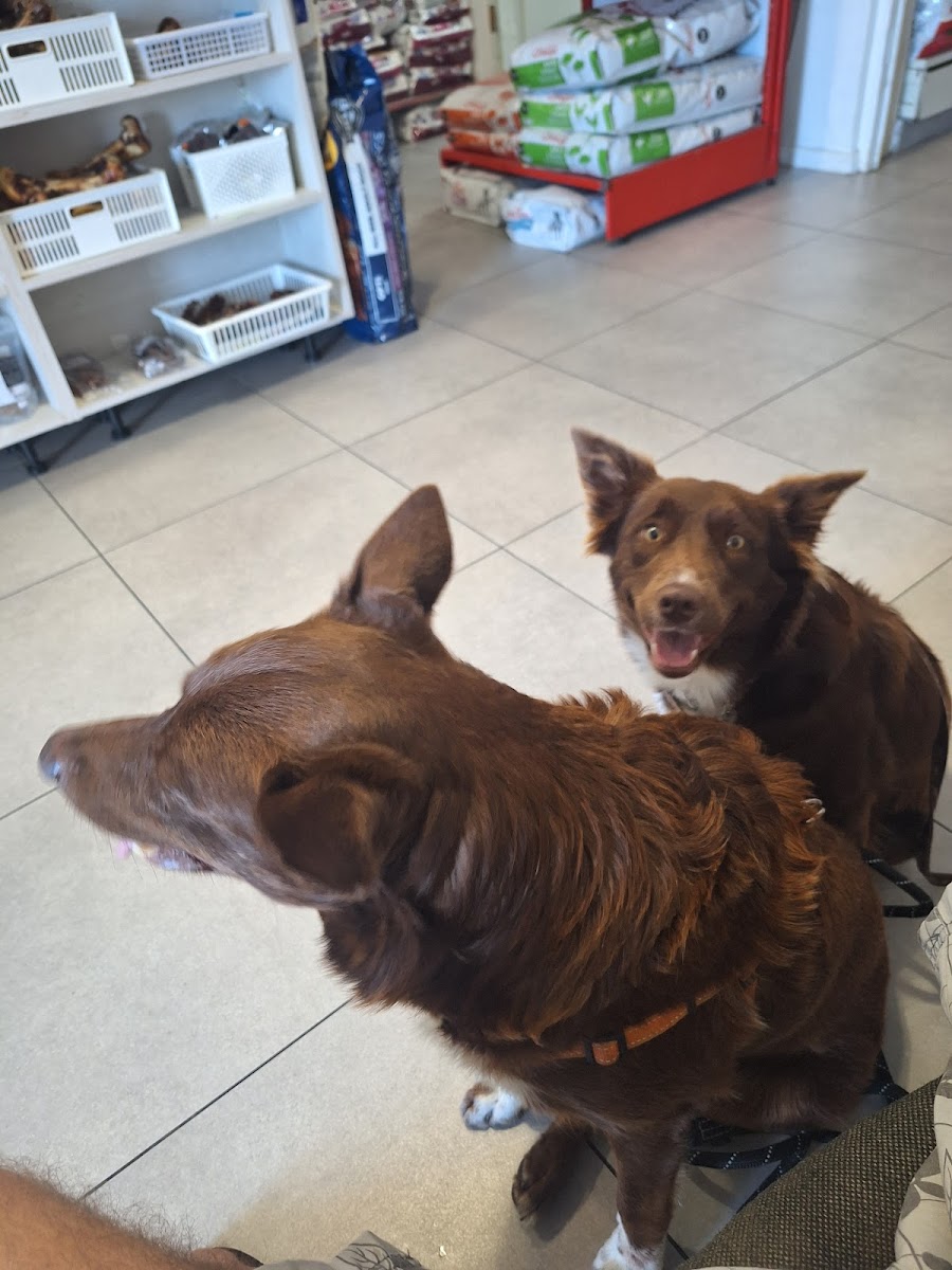 Noordhoek Veterinary Clinic