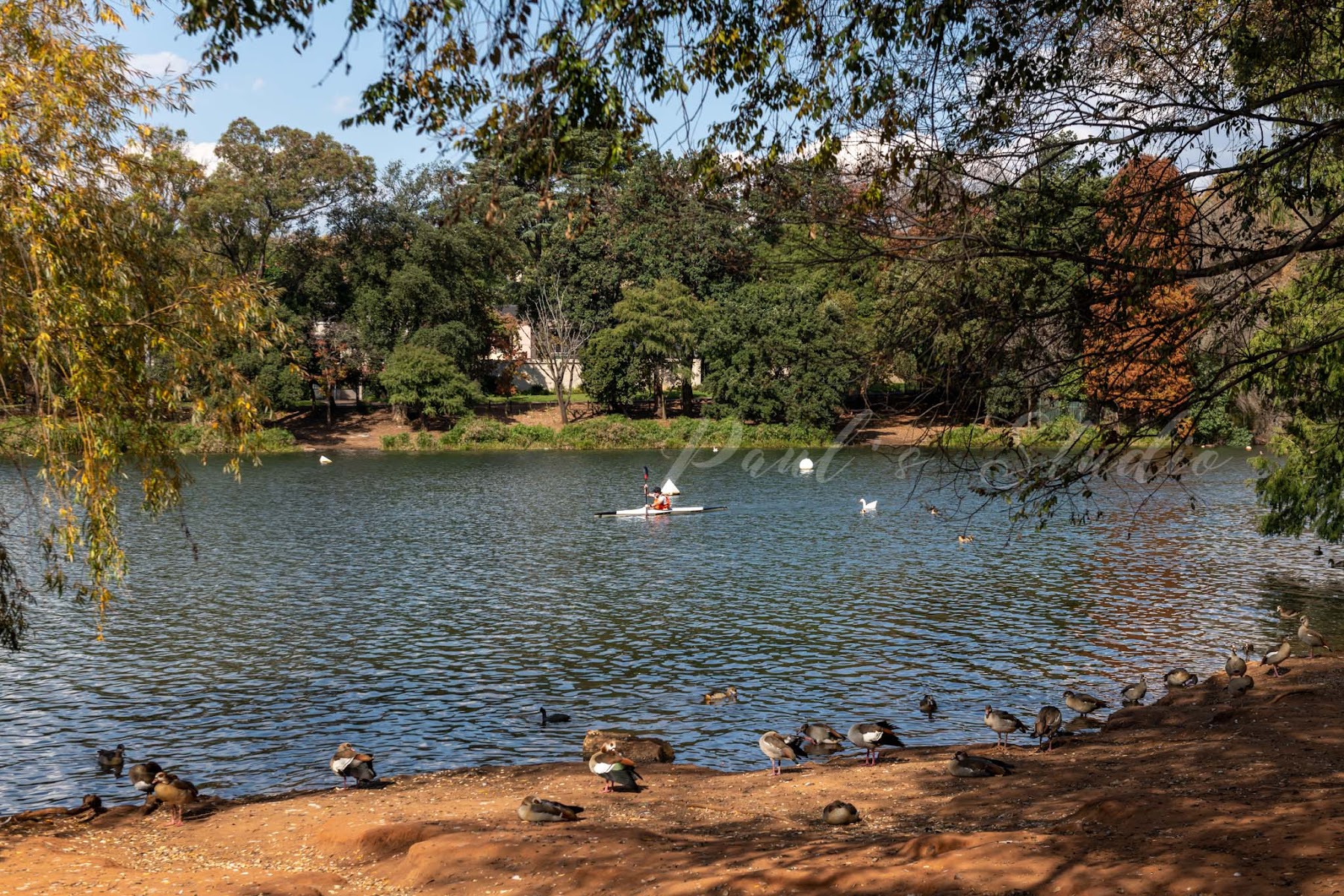 Emmarentia Dam