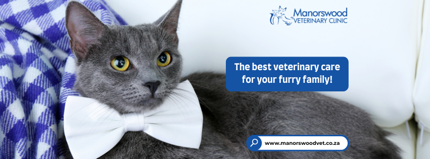 Manorswood Veterinary Clinic