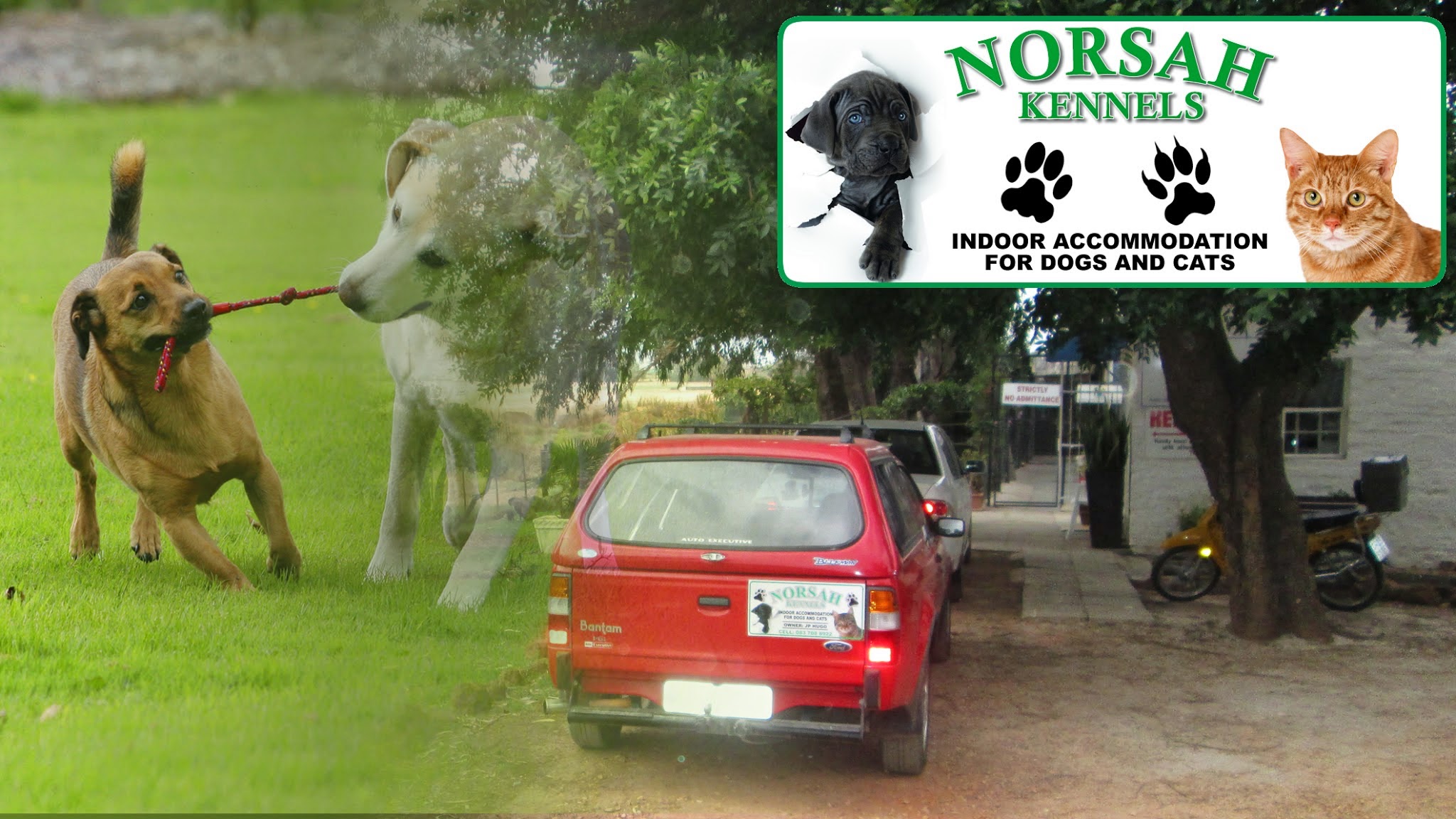 NORSAH Kennels