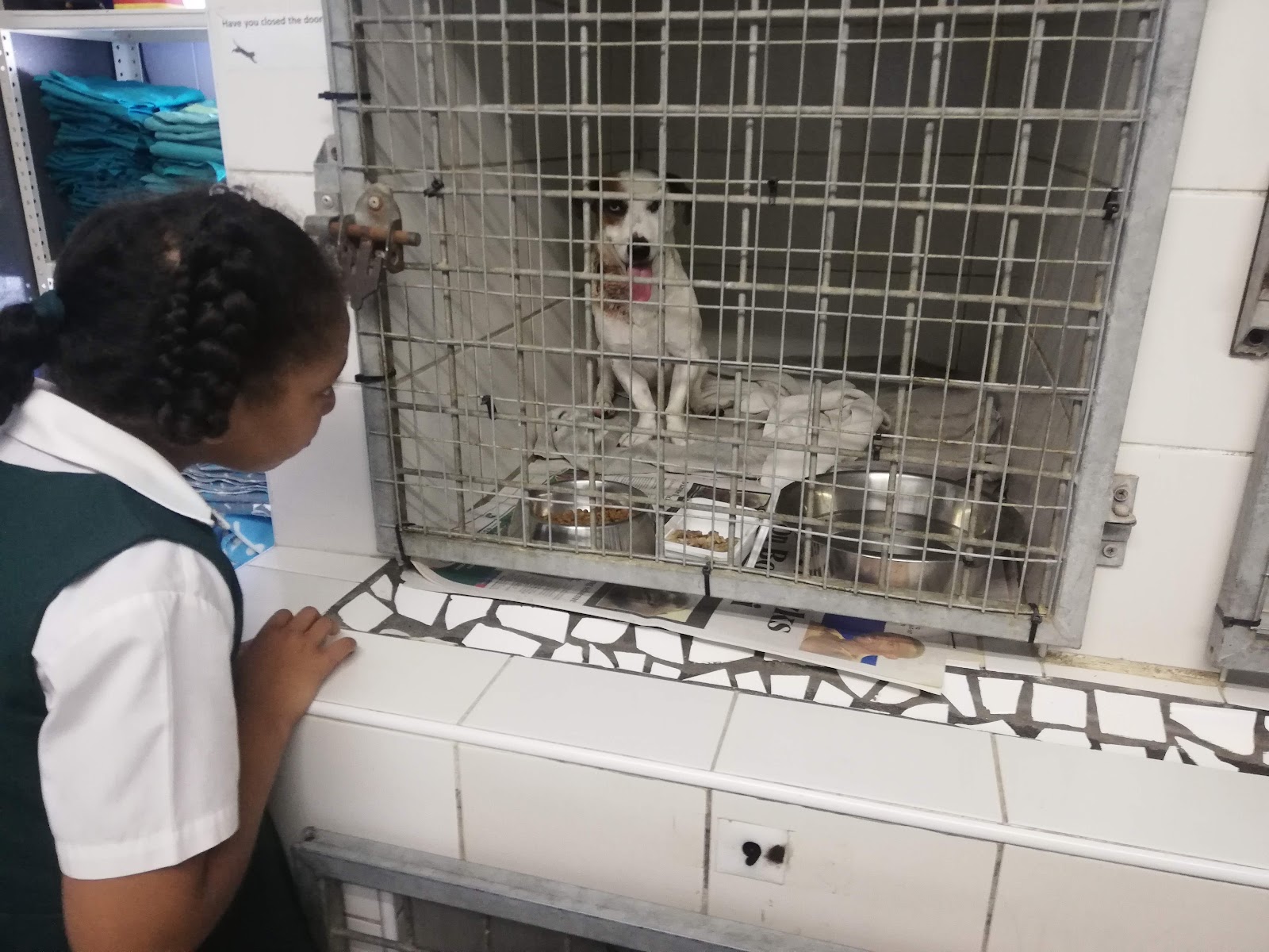 Animal Anti-Cruelty League