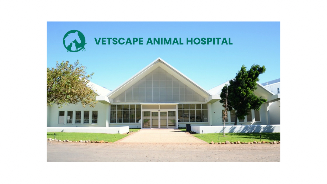 Vetscape Animal Hospital