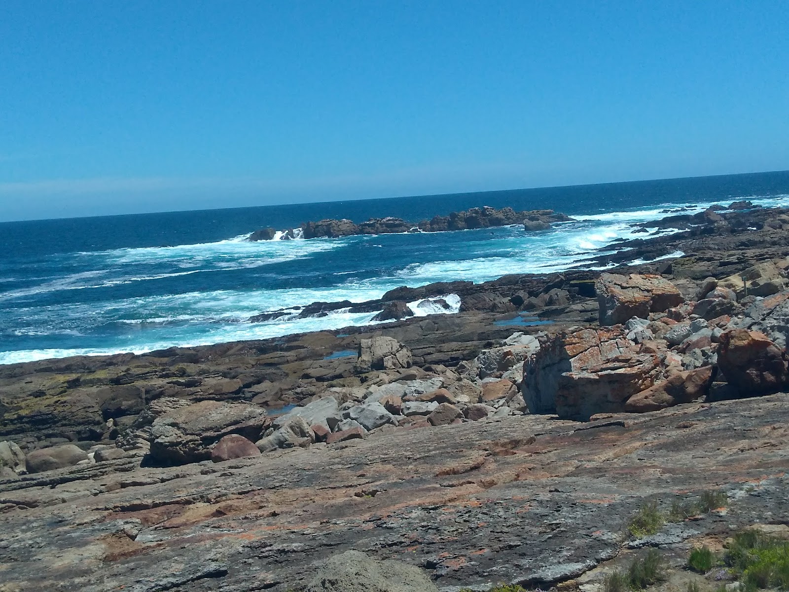 Plett Tourism