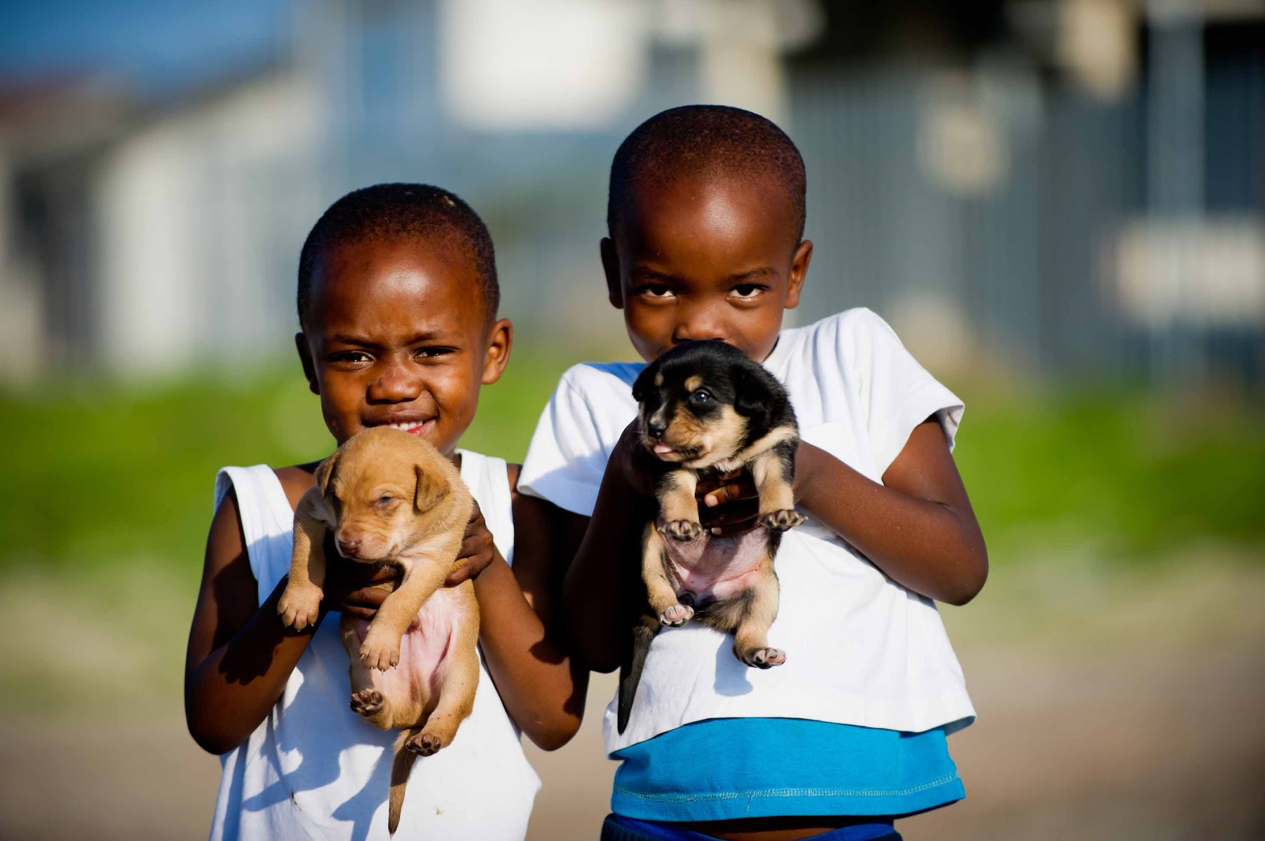 Mdzananda Animal Clinic