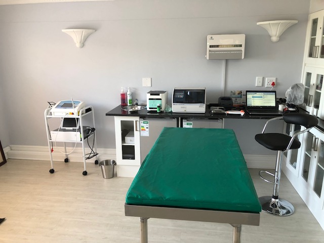 BVSBM Ballito Veterinary Sports and Behavioural Medicine