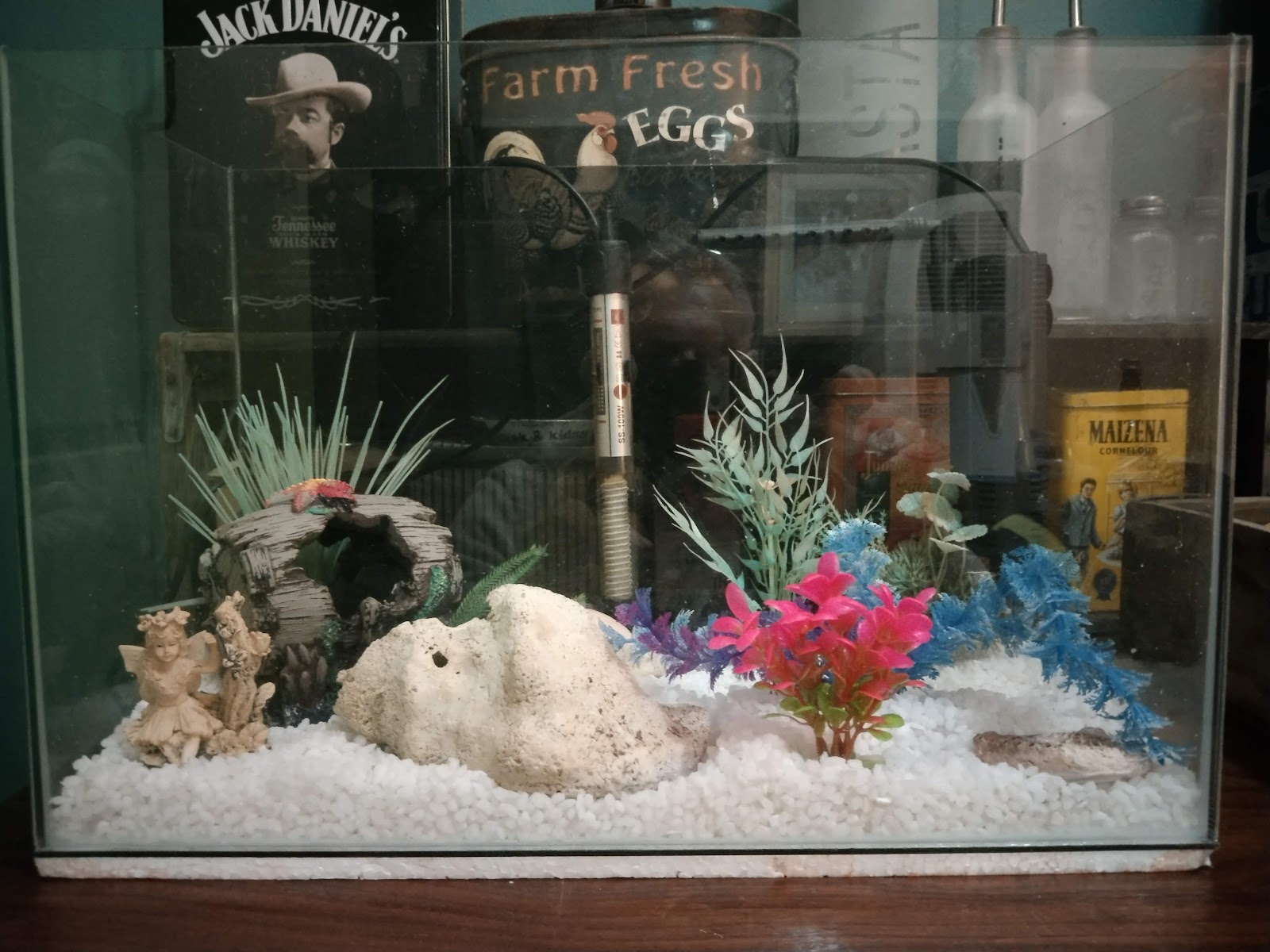 Diamond Seeds and Pet Supplies
