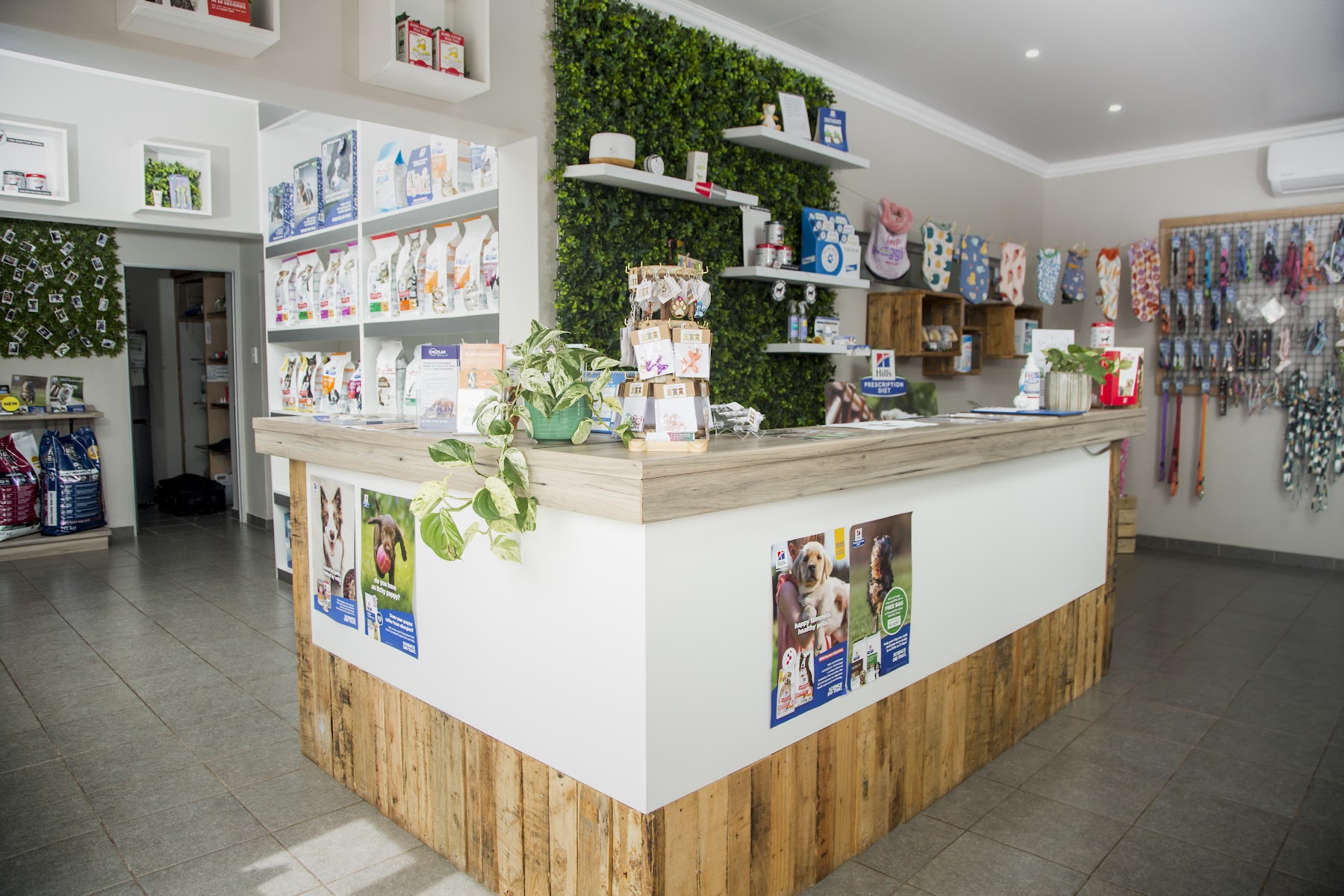 Medivet Animal Clinic