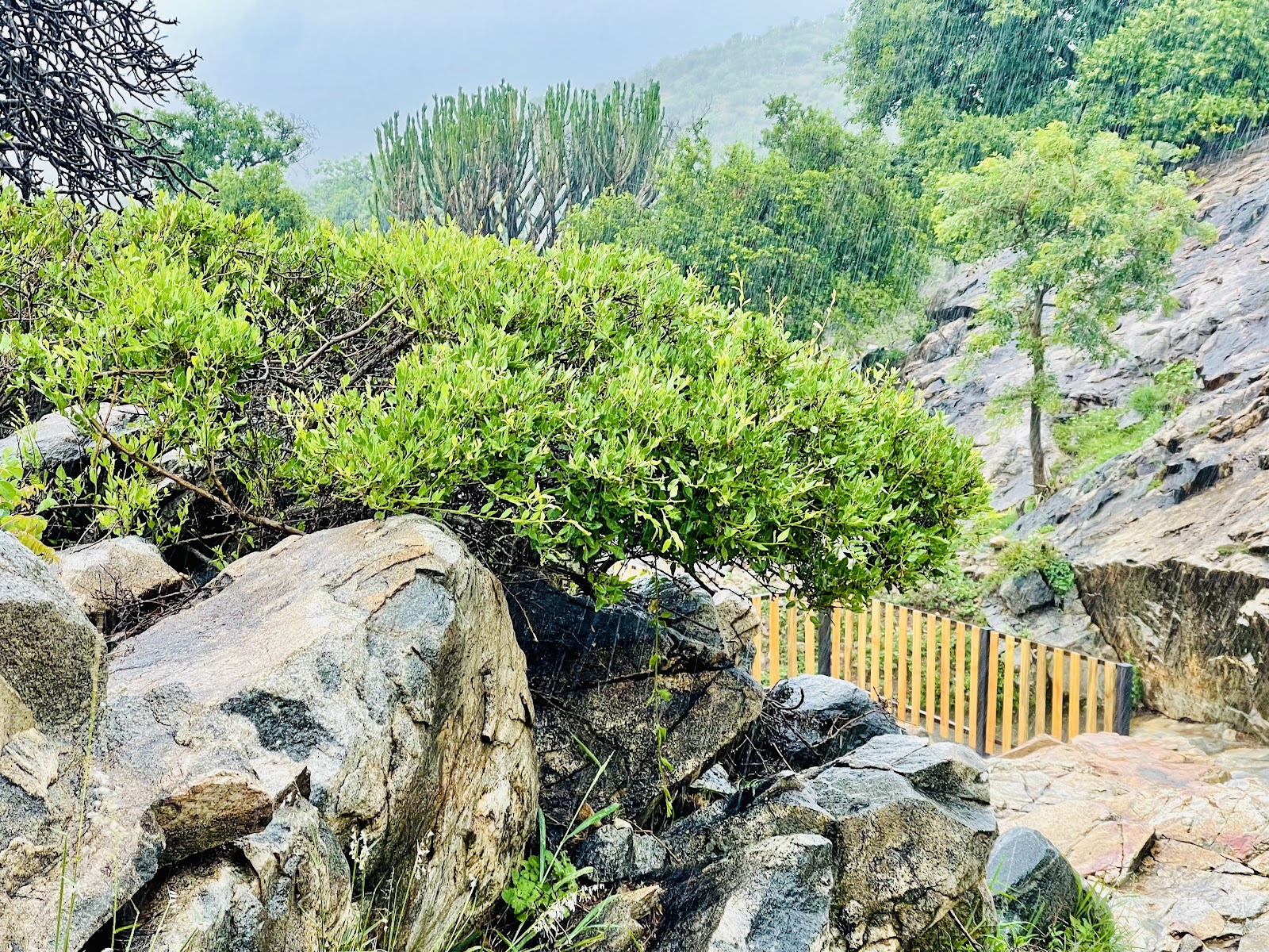 Mabodibane Resort