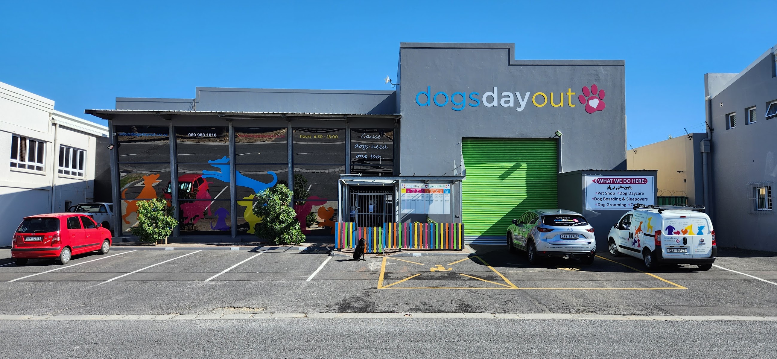 Dogs Day Out Pet Hotel & Dog Daycare