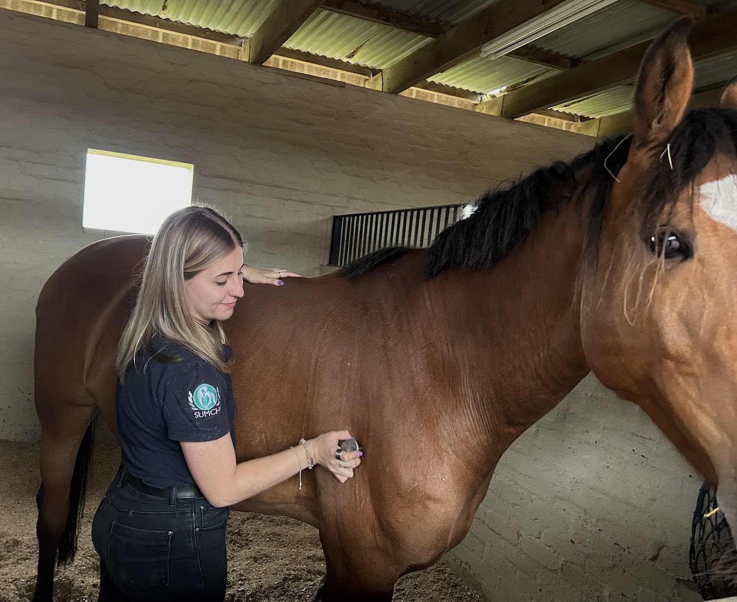 TC Equine