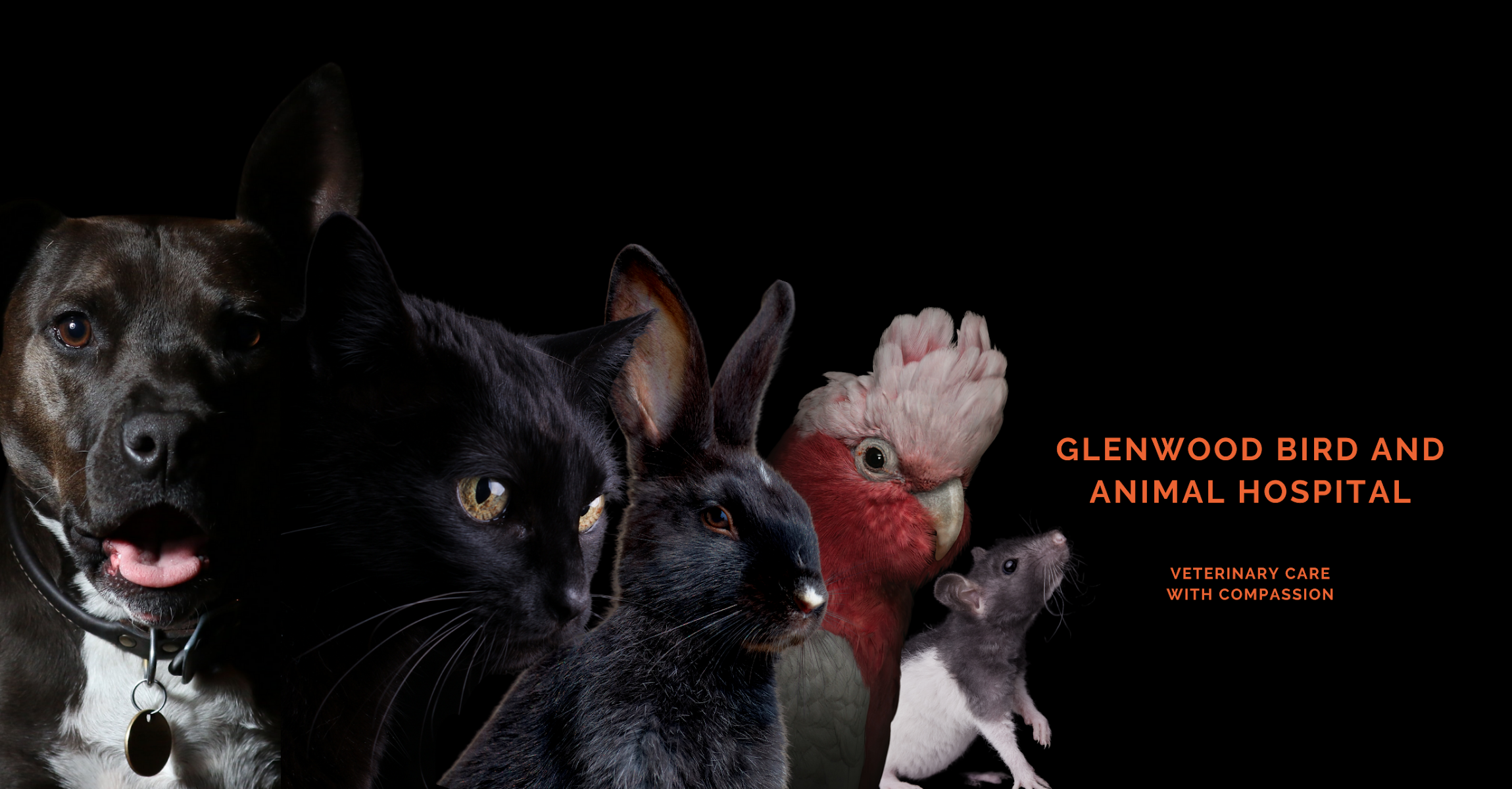 Glenwood Bird & Animal Hospital