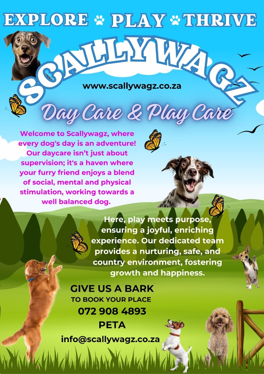 Scallywagz Doggy Day Care