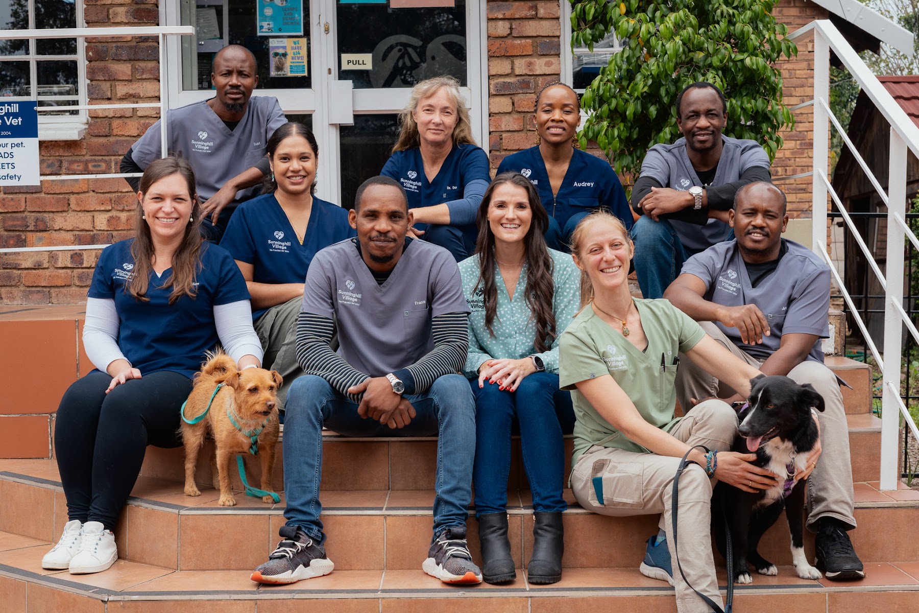 Sunninghill Village Vet
