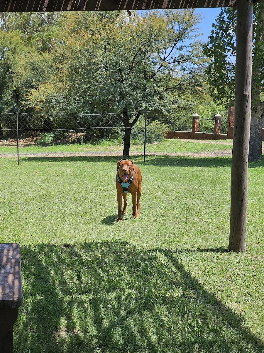 Paoli Dog Park