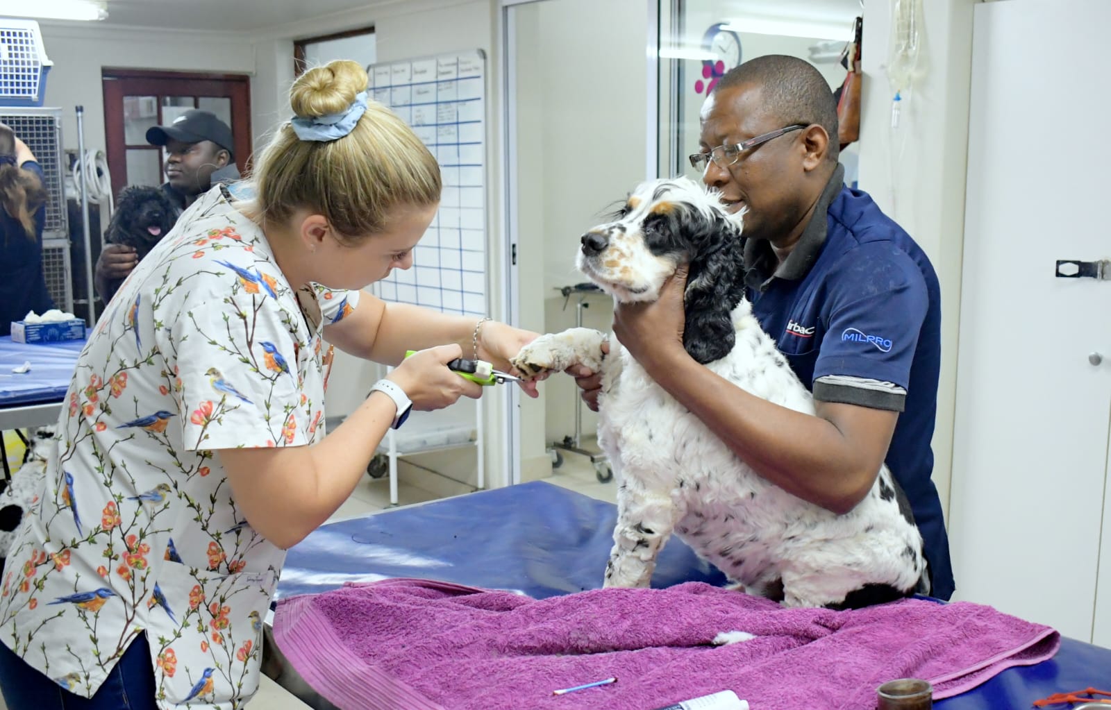 Fourways Veterinary clinic