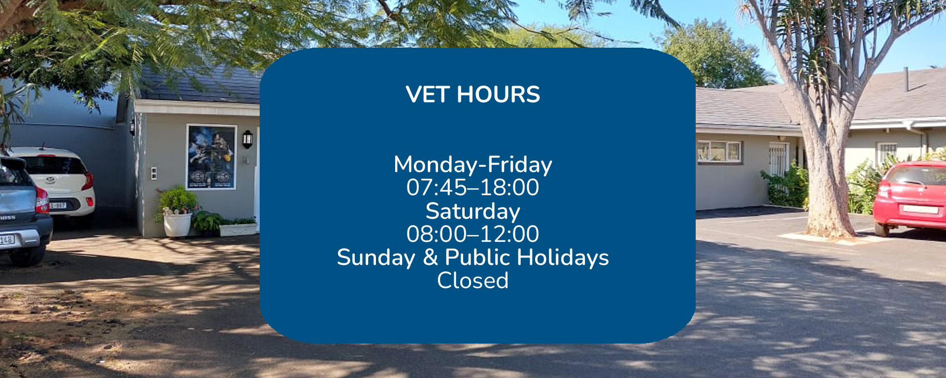 RinaldoRiverside Veterinary Hospital