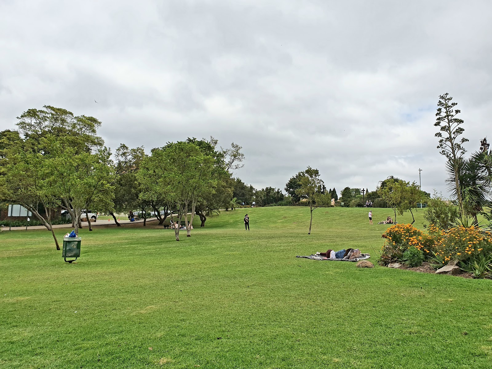 Lonehill Park