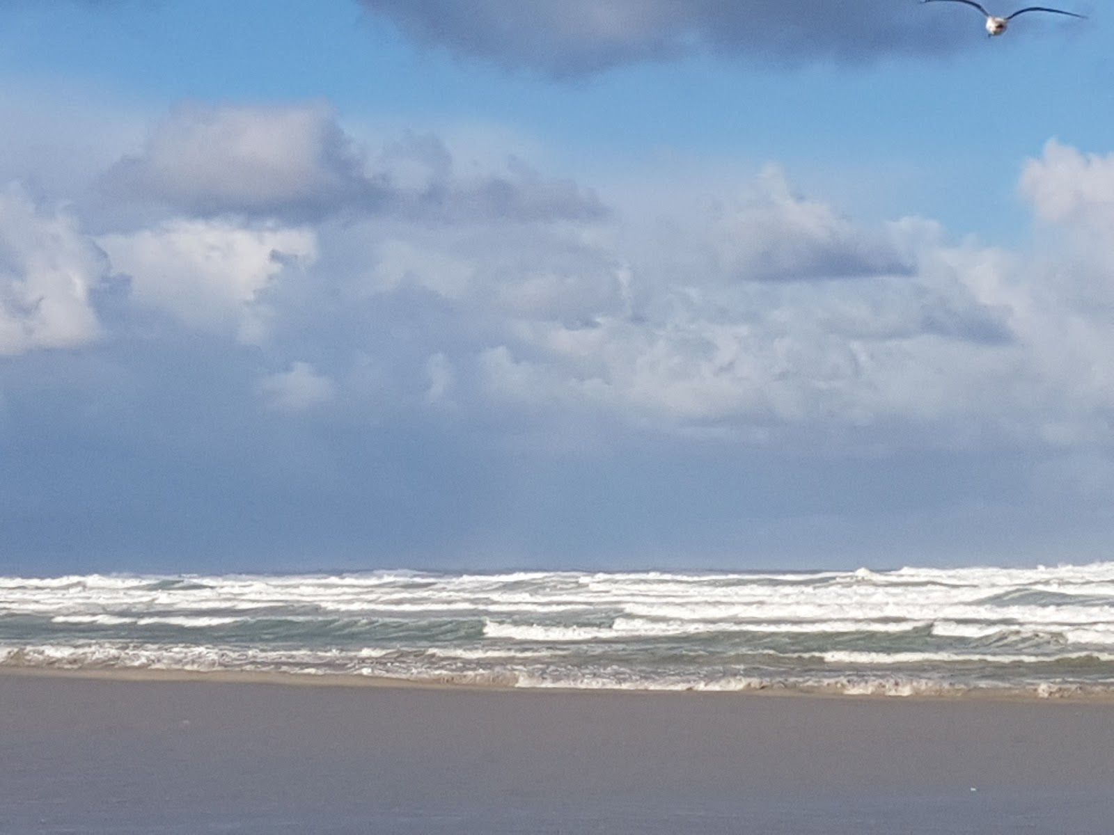 Duynefontein