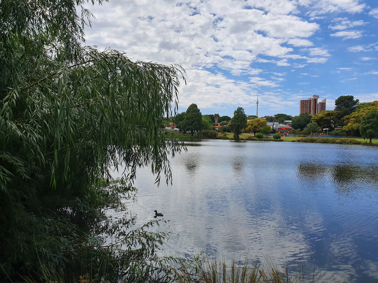 #Westdene Dam