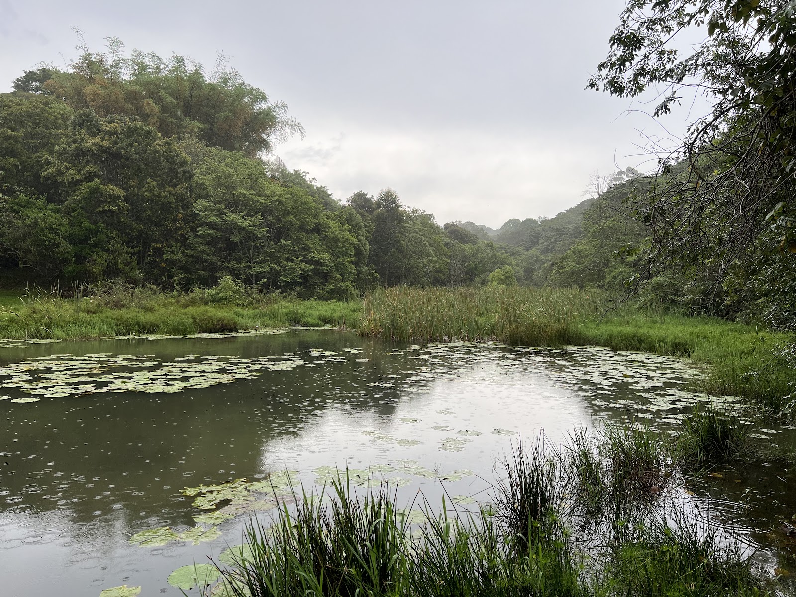 Iphithi Nature Reserve