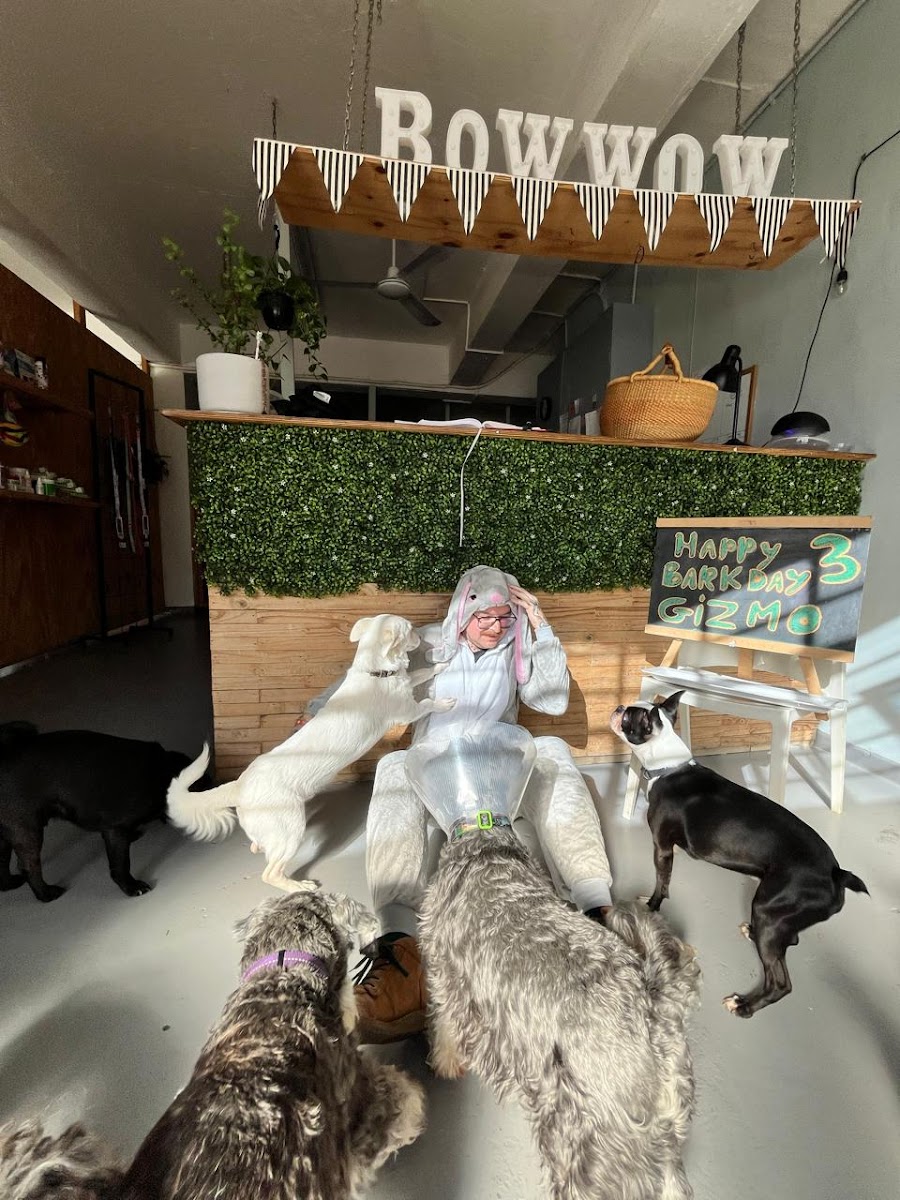 Bow-Wow Doggy Daycare & Sleep-over Centre